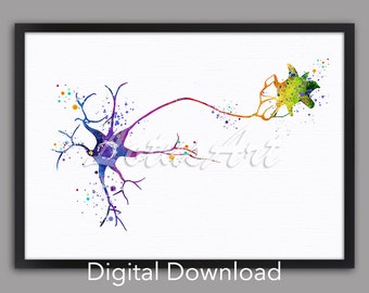 Impresión de acuarela de neuronas: Arte de la anatomía cerebral (Descarga digital)