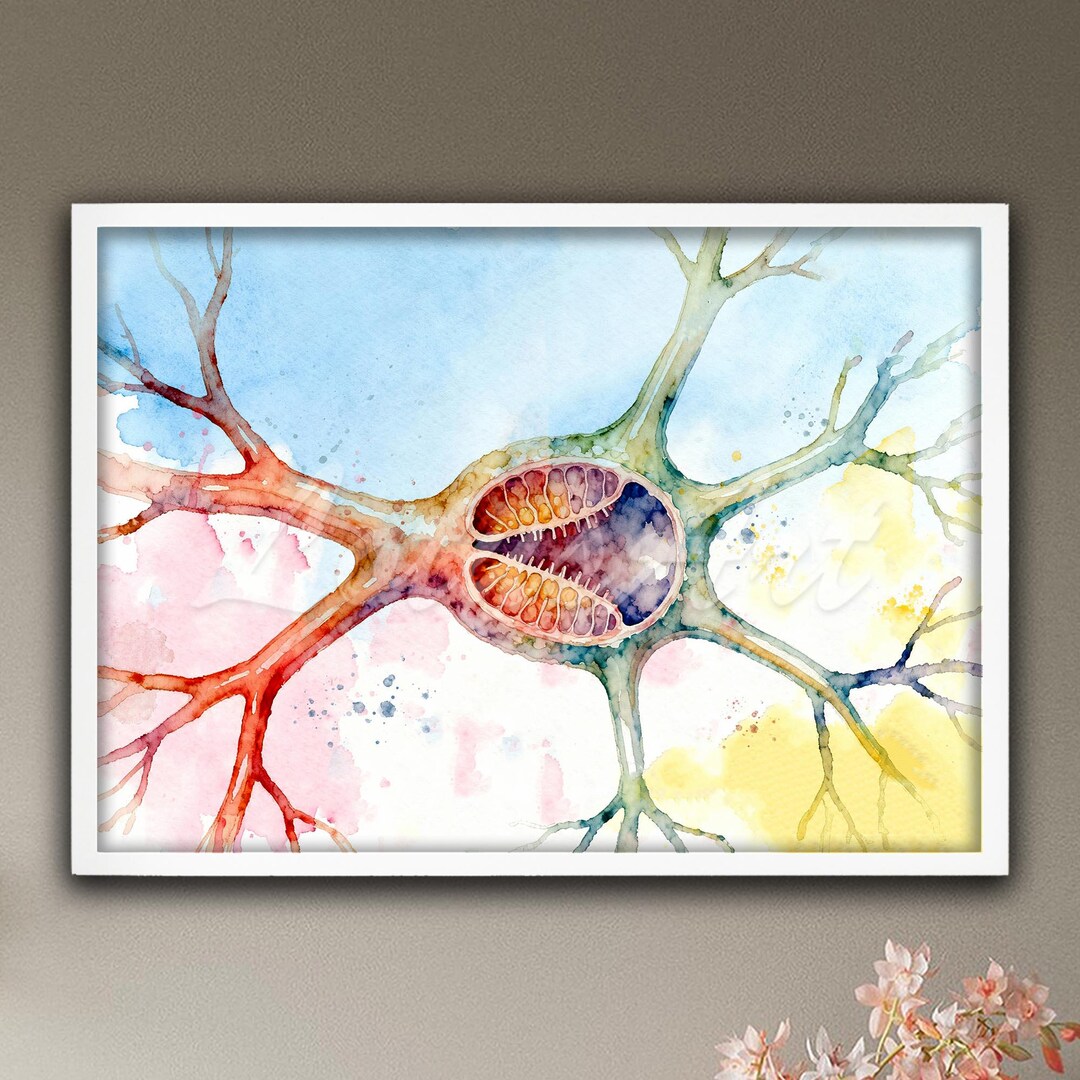 Brain Neurons Nerve Cell Anatomy Poster: Neuroscience Watercolor Art ...