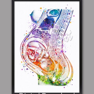 DESCARGA DIGITAL Embarazo Arte Esperar Bebé Embarazada Acuarela Imprimir Feto Ginecología Clínica de Obstetricia Partera Regalo Bebé en el útero