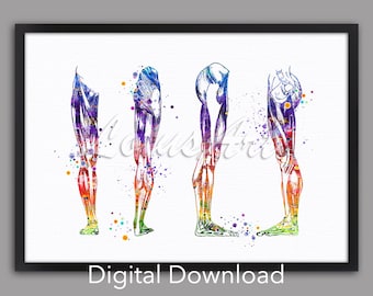 Può includere: Un'illustrazione ad acquerello dei muscoli delle gambe umane in quattro pose diverse. I muscoli sono rappresentati in tonalità di viola, blu, verde, arancione e rosso. Lo sfondo è bianco con punti di acquerello sparsi.