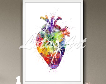 Human Heart Anatomy Watercolor Art Print: Cardiac Medical Wall Art Decor