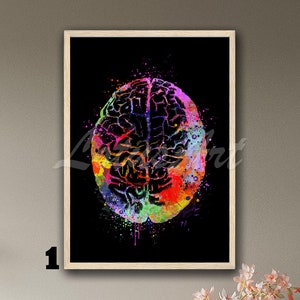Brain Anatomy Art Print: Colorful Medical Decor, Doctor Gift