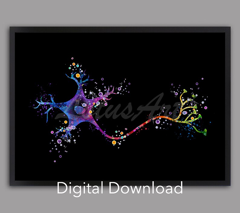 Watercolor Neuron Anatomy Art Print: Neurology Medical Poster (digital ...