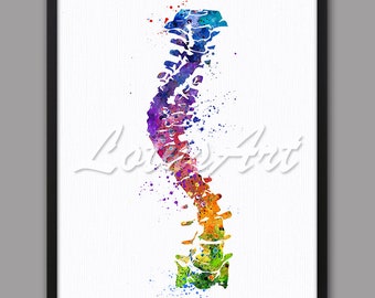 Scoliosis Spine Watercolor Art Print: Anatomy Poster (Digital Download)