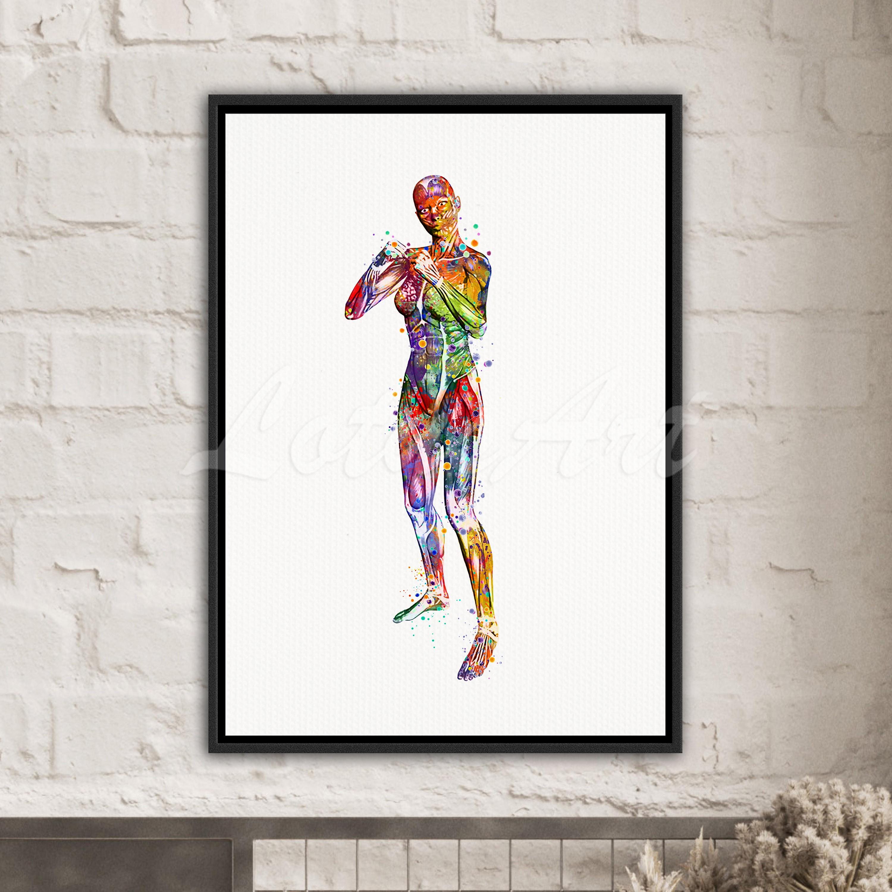 Boxing Female Muscles Wall Art Canvas Print Anatomy Art Decor Medical Personalised Gift