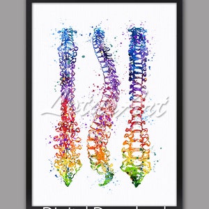 Watercolor Spine Art Print: Anatomy Poster, Medical Decor (Digital Download)
