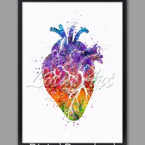 DIGITAL DOWNLOAD Heart Anatomy Art Watercolor Print Anatomical Heart Surgery Gift Clinic Wall Decor Medical Office Decor Doctor Gift