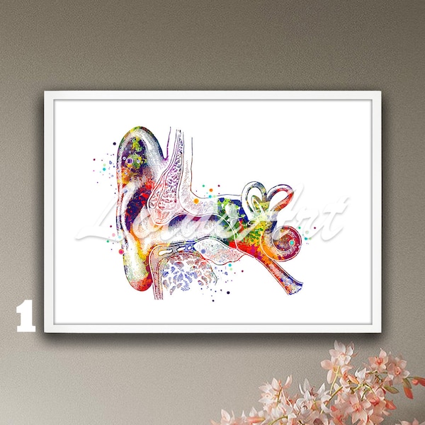 Ohr Anatomisch Aquarell Druck: Audiologe HNO Geschenk, Medizinische Kunst