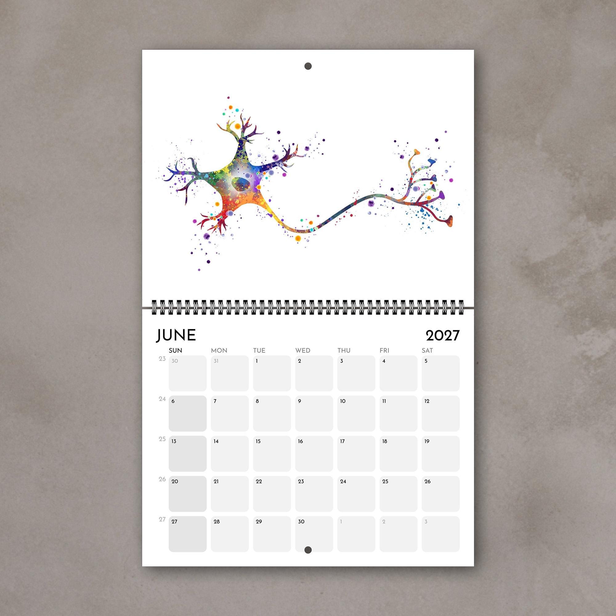 2027 Anatomy Wall Calendar: Medical Watercolor Art, Doctor Gift