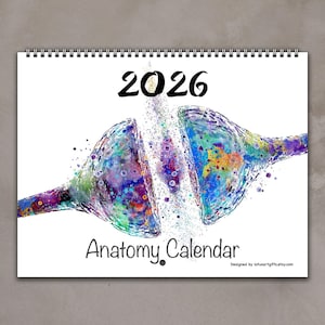 2026 Anatomy Wall Calendar: Medical Watercolor Art, Doctor Gift