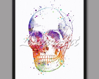 Può includere: Un dipinto ad acquerello di un teschio umano con uno schema di colori arcobaleno. Il teschio è dettagliato e realistico, con denti e struttura ossea visibili. Lo sfondo è bianco con punti colorati sparsi.