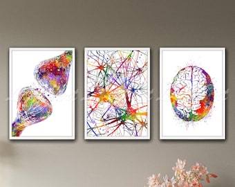 Brain Anatomy Watercolor Print Set: Neuron Synapse Receptor Wall Art, Neuroscience Medical Poster