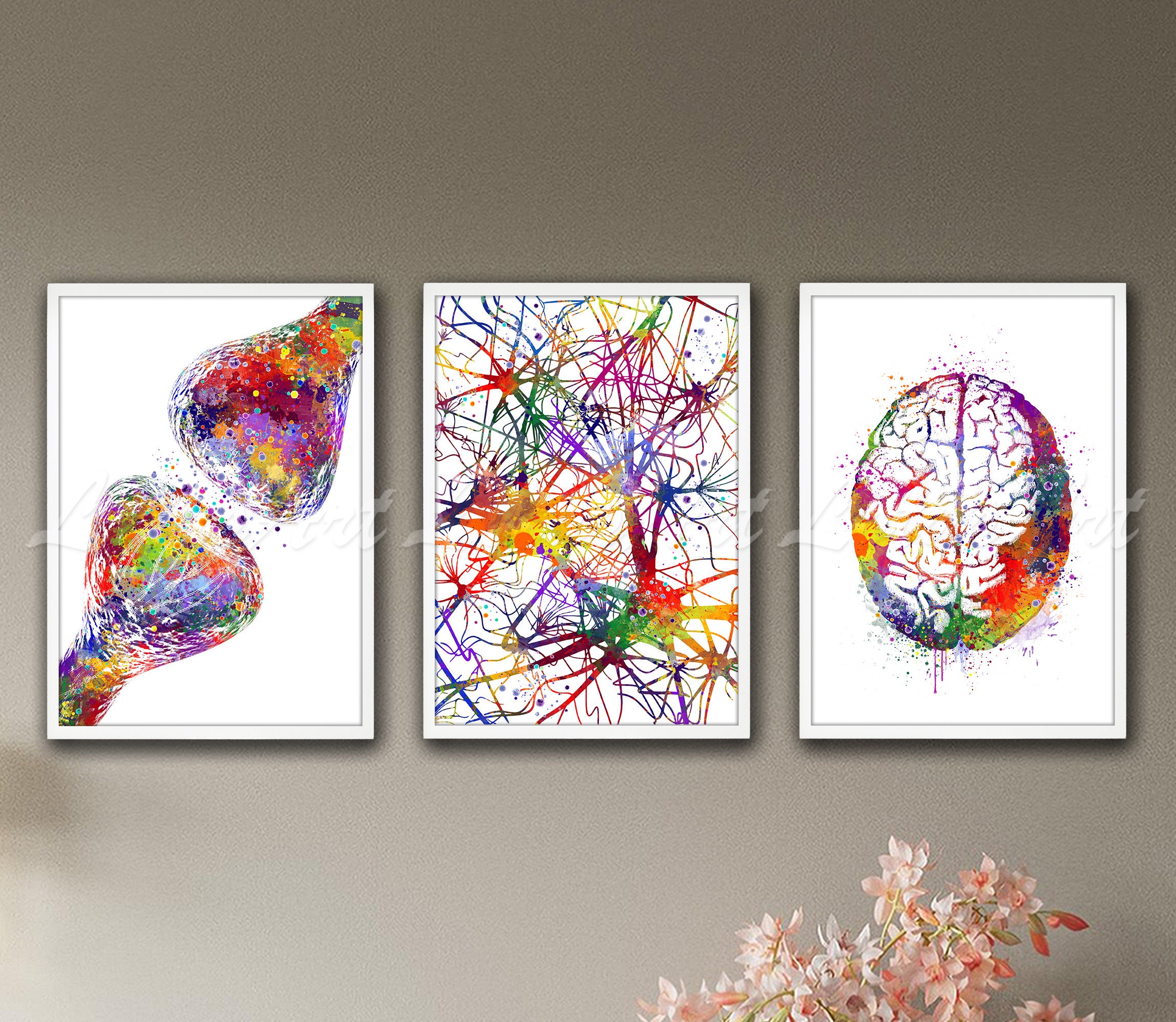 Synapse Receptor Neuron Brain Anatomy Watercolor Wall Art Print Set of ...