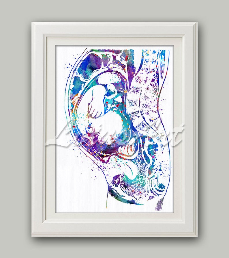 Pregnancy Watercolor Print Blue Baby in the Womb Pregnant Art image 0