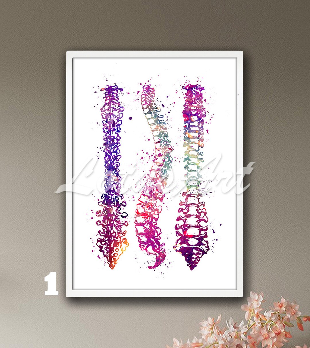 Spine Art Watercolor Print Anatomy Poster Medical Anatomical Decor ...