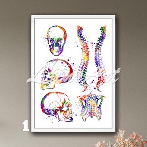 Skull Decor Anatomy Art Skeleton Framed Print Medical Watercolor Anatomical Poster Orthopedics Science Doctor Office Decor Anniversary Gifts