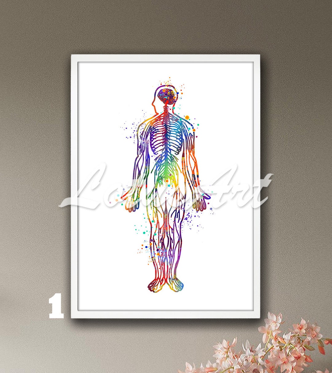 Brain & Nerves Anatomy Watercolor Art Print: Framed Medical Decor - Etsy