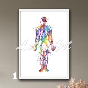 Brain & Nerves Anatomy Watercolor Art Print: Framed Medical Decor