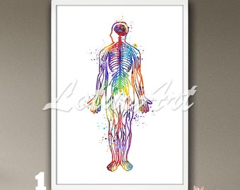 Brain with All Nerves in the Body Anatomy Art Watercolor Framed Print Anatomical Decor Medical Surgery Clinic Medical Office Doctor Gift