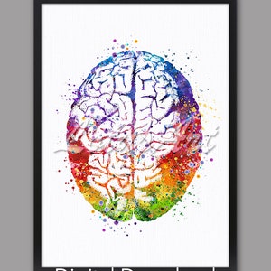 Brain Anatomy Watercolor Science Art Neurology Doctor Office Decor Human Anatomical Poster Anniversary Gifts Neurologist DIGITAL DOWNLOAD image 1