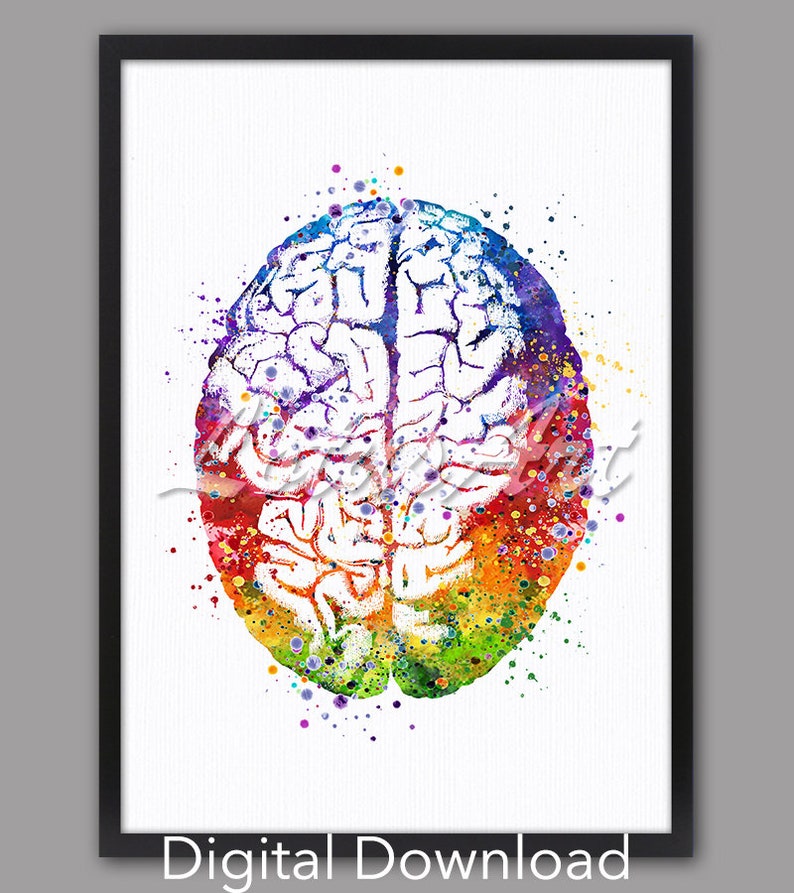 Brain Anatomy Watercolor Science Art Neurology Doctor Office Decor Human Anatomical Poster Anniversary Gifts Neurologist DIGITAL DOWNLOAD image 1