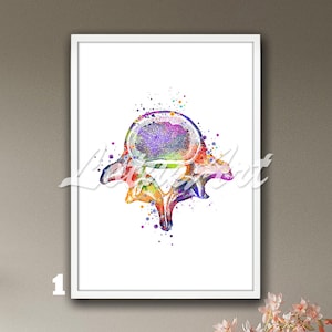 Póster enmarcado de arte de pared de vértebras lumbares, anatomía, impresión de acuarela, consultorio médico, quiropráctico anatómico, ortopedia, kinesiterapeuta
