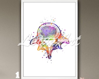 Lumbar Vertebrae Watercolor Anatomy Print: Framed Medical Art