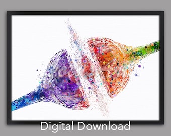 DIGITAL DOWNLOAD Synapse Receptor Brain Nerve Cell Science Art Anatomy Poster Watercolor Print Neuroscience Neurology Medical Biology Gift