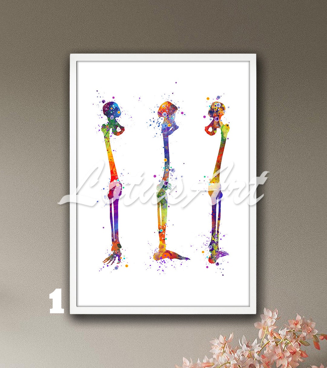 Leg Bones Anatomy Watercolor Art Print: Human Skeletal System Poster - Etsy