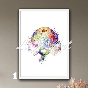 Eye Anatomy Framed Wall Art Eyeball Medical Watercolor Print Optician Gifts Science Poster Optometry Ophthalmology Decor Optometrist Art