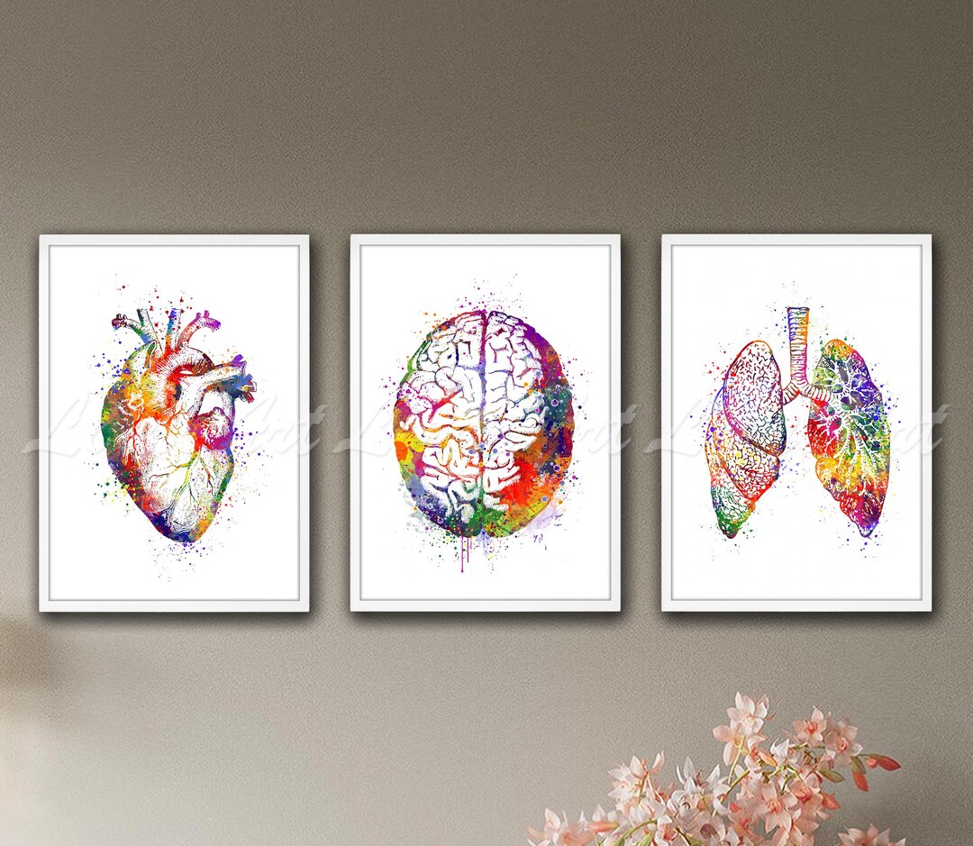 Anatomy Watercolor Print Set: Brain, Heart, Lungs - Medical Science Art ...
