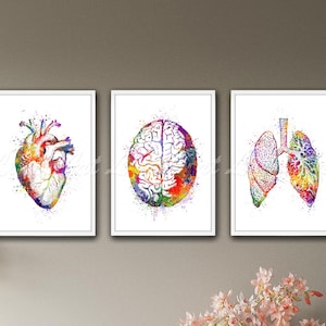 Anatomy Watercolor Print Set – Brain, Heart, and Lungs Wall Art, Medical Posters, Doctor Office Decor, Science Art for Classroom or Clinic