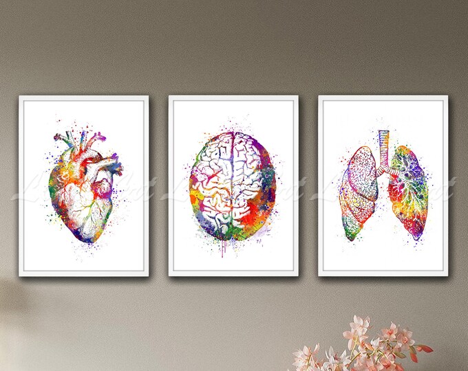 Anatomy Art Set, Brain Heart Lungs Wall Art, Medical Student Gift ...