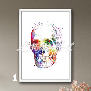 Skull Anatomy Wall Art Science Watercolor Print Medical Office Doctor Studio Decor Anatomical Clinic Poster Graduation Gifts