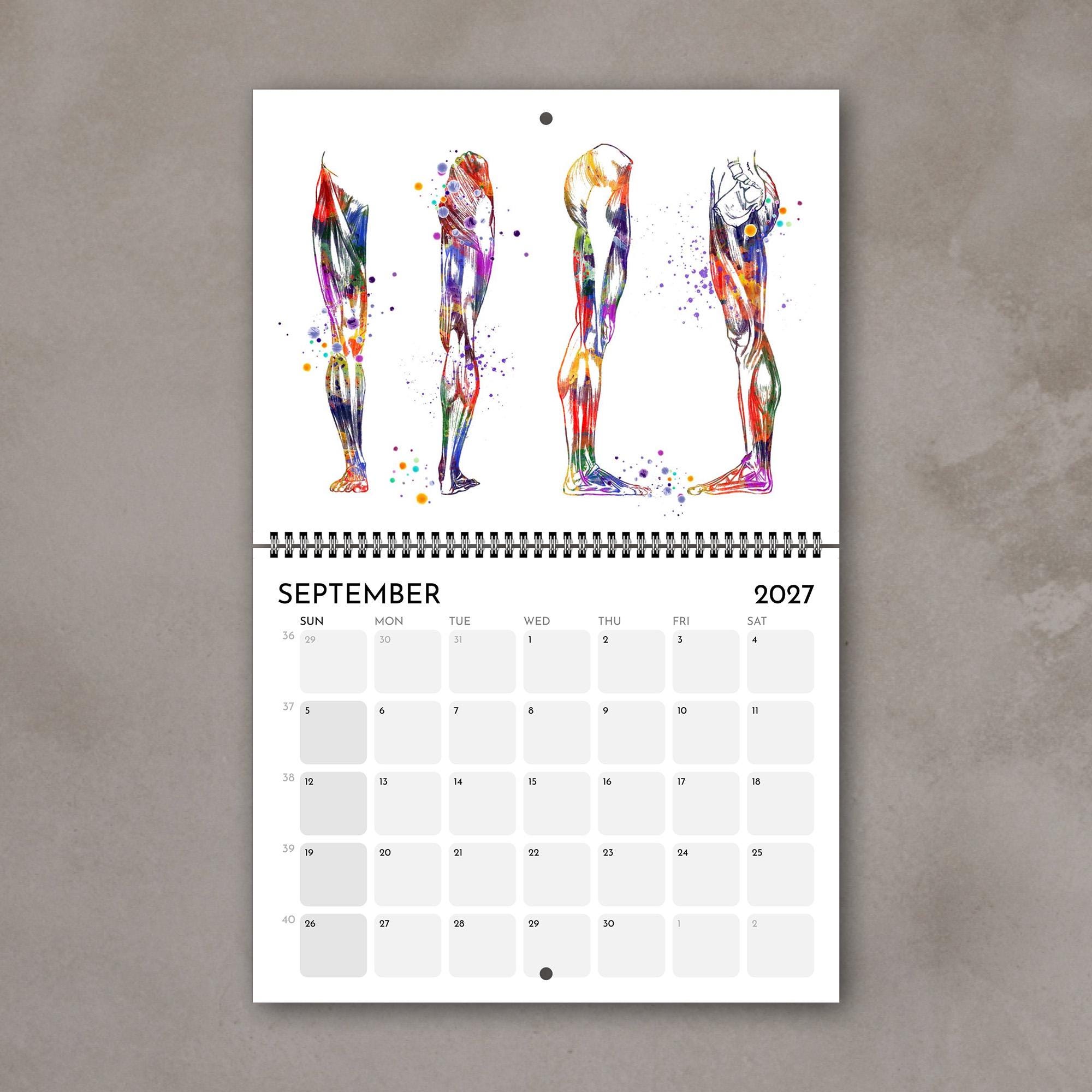 2027 Anatomy Wall Calendar: Medical Watercolor Art, Doctor Gift