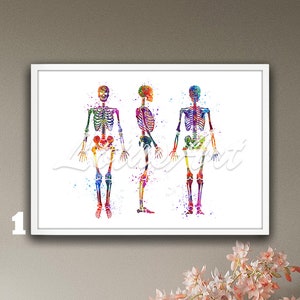 Watercolor Human Skeleton Print: Framed Medical Anatomy Art