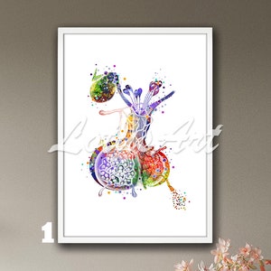 Pituitary Gland Anatomy Wall Art Framed Poster Hypophysis Master Gland Watercolor Print Doctor Endocrinologist Gifts Internal Organs