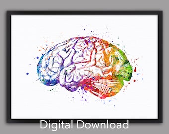 Brain Wall Art Anatomy Decor Medical Print Watercolor Neurology Doctor Gift Human Anatomical Poster Anniversary Neurologist DIGITAL DOWNLOAD