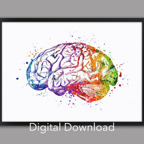 Anatomical Brain Poster Neurology Chalkboard Art Human Brain - Etsy