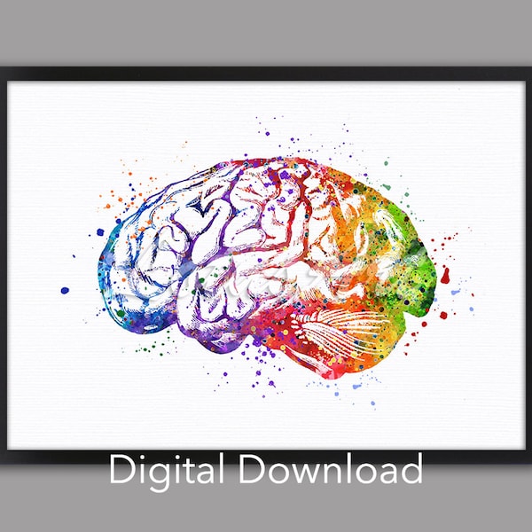 Brain Wall Art Anatomy Decor Medical Print Watercolor Neurology Doctor Gift Human Anatomical Poster Anniversary Neurologist DIGITAL DOWNLOAD