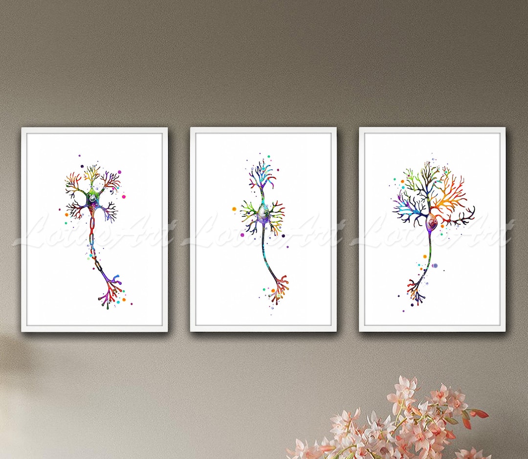 Set of 3 Multipolar Neurons Cell Anatomy Art Brain Watercolor Print ...