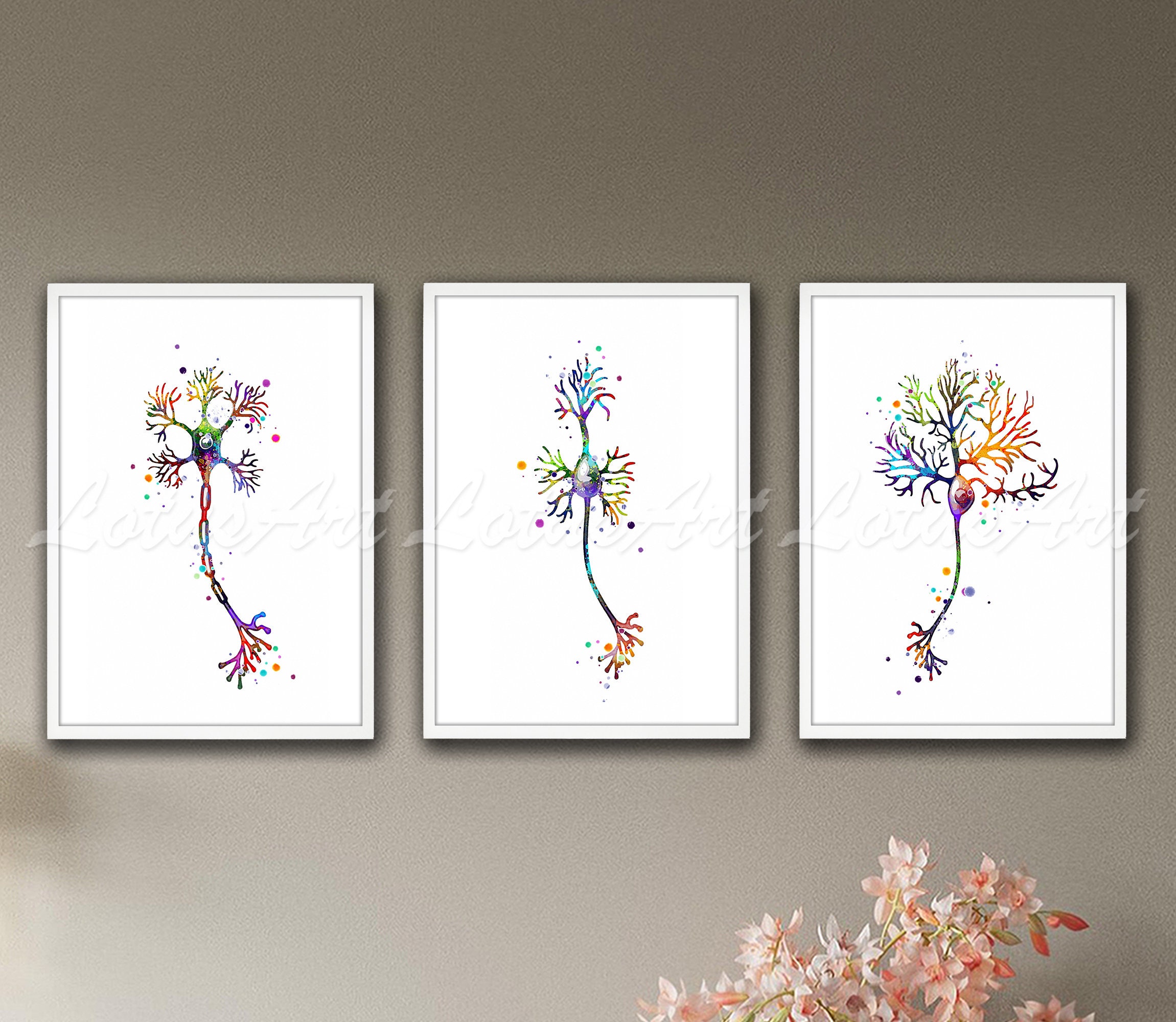 Neuron Cell Anatomy Watercolor Art Print Set of 3 - Etsy