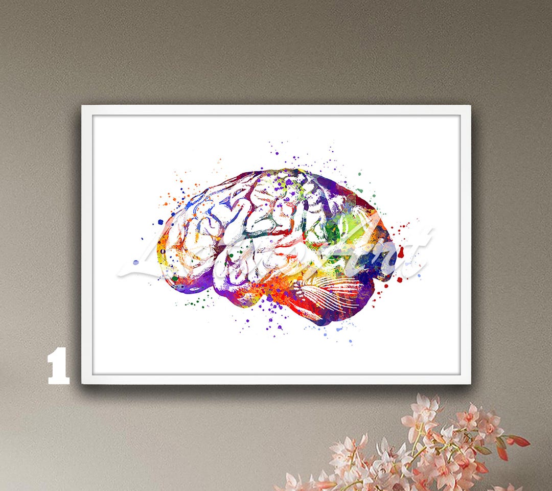 Human Brain Anatomy Watercolor Art Print: Neuroscience Medical Wall ...