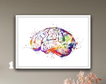 May include: A watercolor painting of a human brain with splashes of color in shades of pink, blue, green, yellow, and purple.