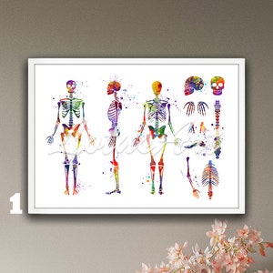 Human Skeleton Anatomy Framed Art Medical Print Watercolor Anatomical Poster Orthopedics Doctor Office Wall Decor Graduation Gifts