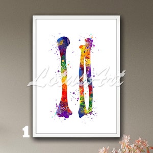 Arm Bones Framed Watercolor Print Anatomy Wall Art Anatomical Decor Humerus Radius Medical Poster Chiropractor Orthopedics Kinesitherapist