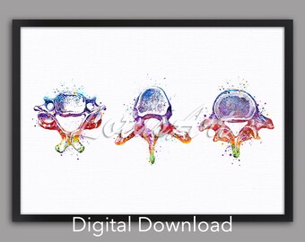 DIGITAL DOWNLOAD Lumbar Cervical Thoracic Vertebrae Anatomy Art Watercolor Print Medical Doctor Office Gifts Chiropractor Kinesitherapist