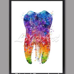 Tooth Anatomy Art Dental Watercolor Print Tooth Anatomical Medical Prints Dentist Gift DIGITAL DOWNLOAD