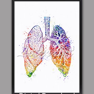 Watercolor Lungs Anatomy Art Print: Medical Office Decor (Digital Download)