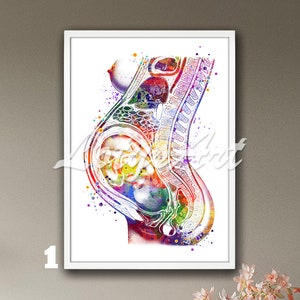Arte de pared de embarazo con impresión de acuarela enmarcada, espera un bebé, feto embarazada, ginecología médica, obstetra, clínica, partera, regalo, bebé en el útero